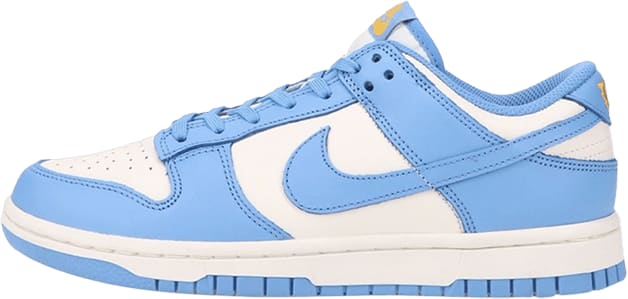 nike womens low dunk coast