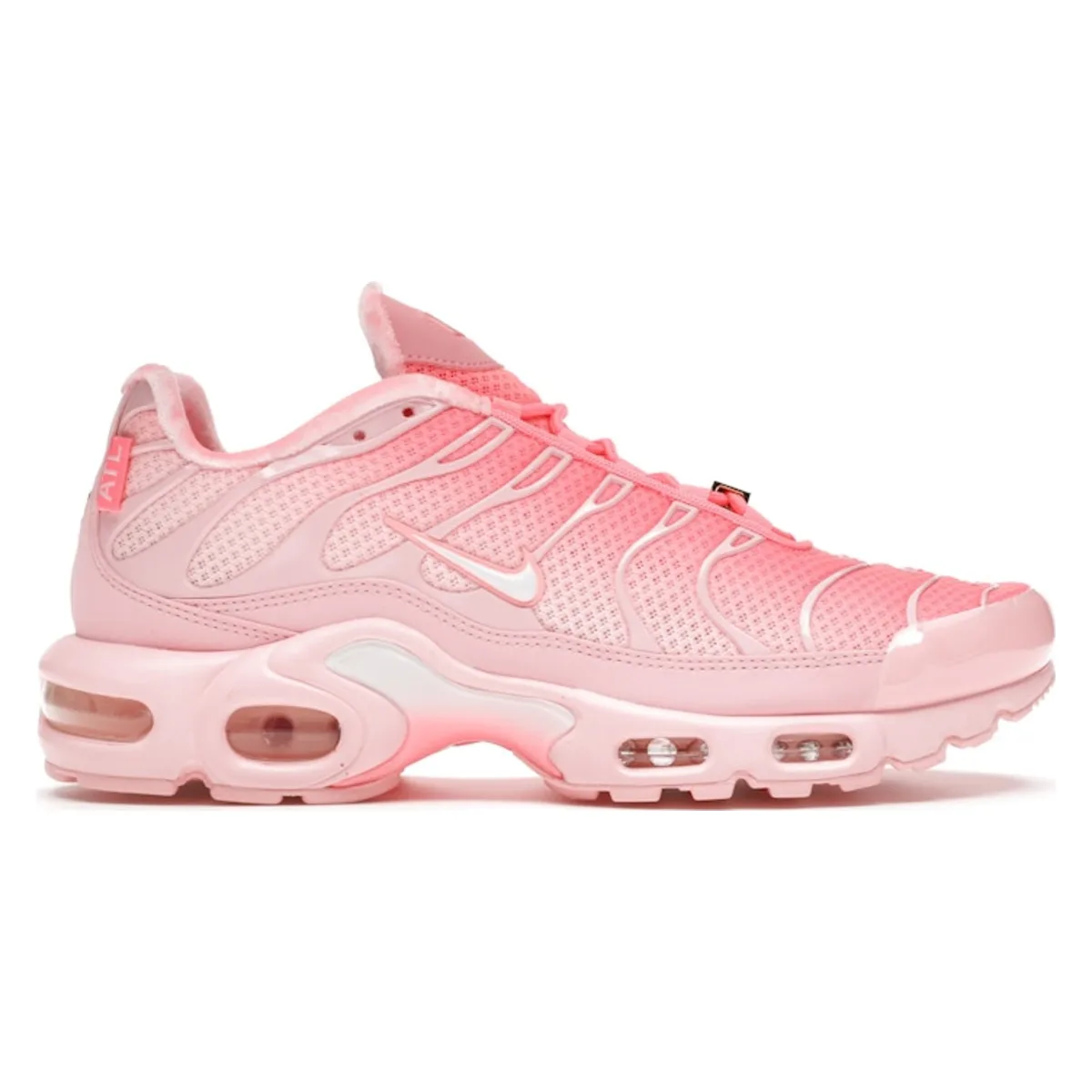 Nike Air Max Plus Atlanta City Special