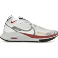 Nike React Pegasus Trail 4 Gore-Tex White Cedar