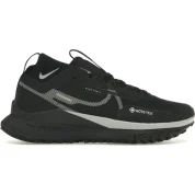 Nike Pegasus Trail 4 Gore-Tex Black Wolf Grey (W)