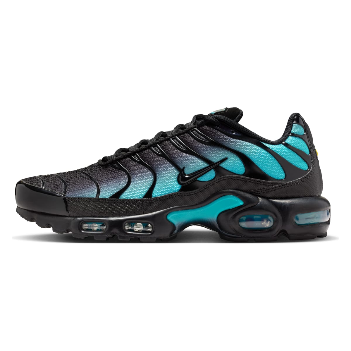Nike Air Max Plus "Black Dusty Cactus"