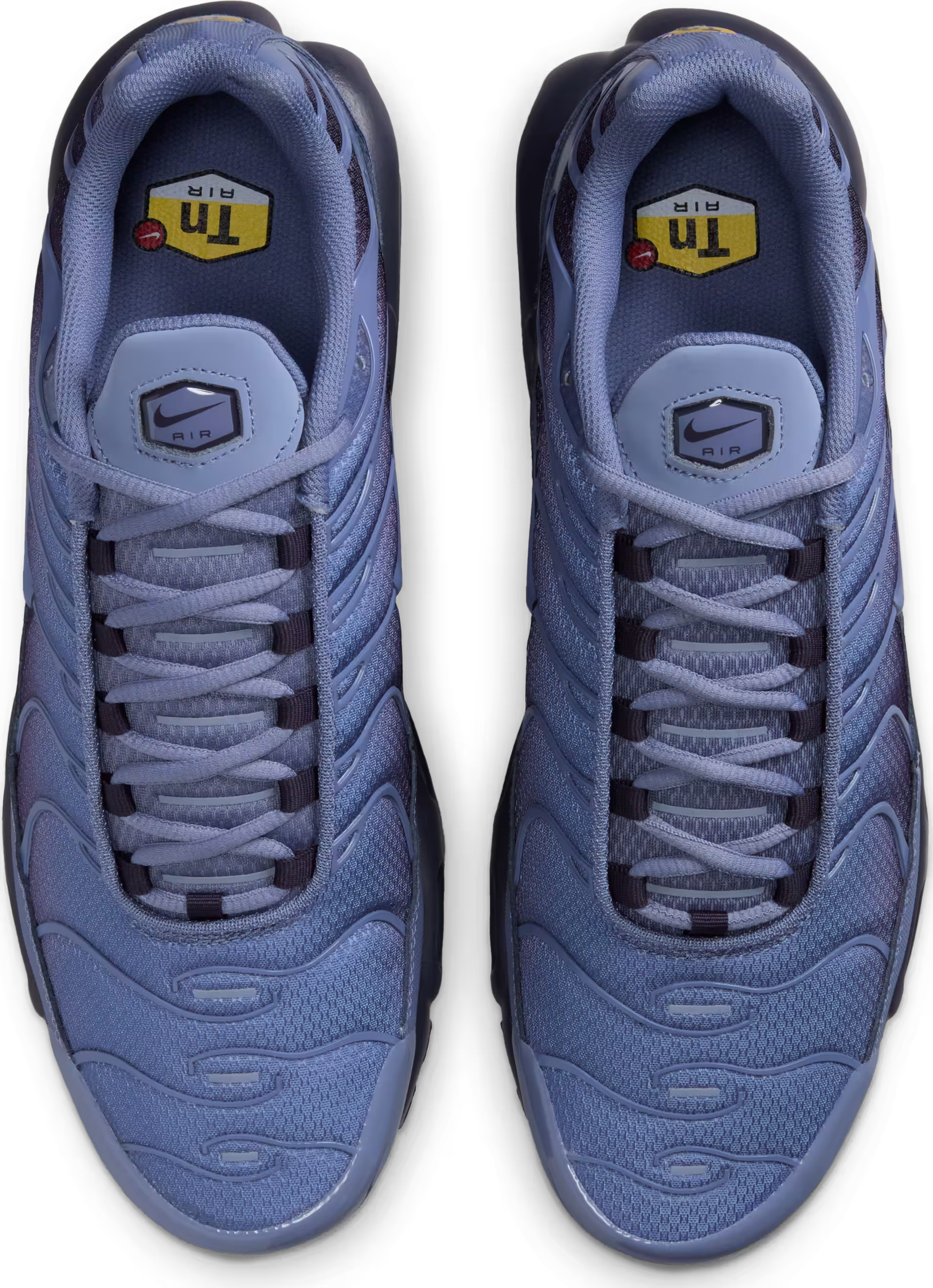 Nike Air Max Plus "World Indigo"