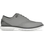 Jordan ADG 4 Golf Wolf Grey