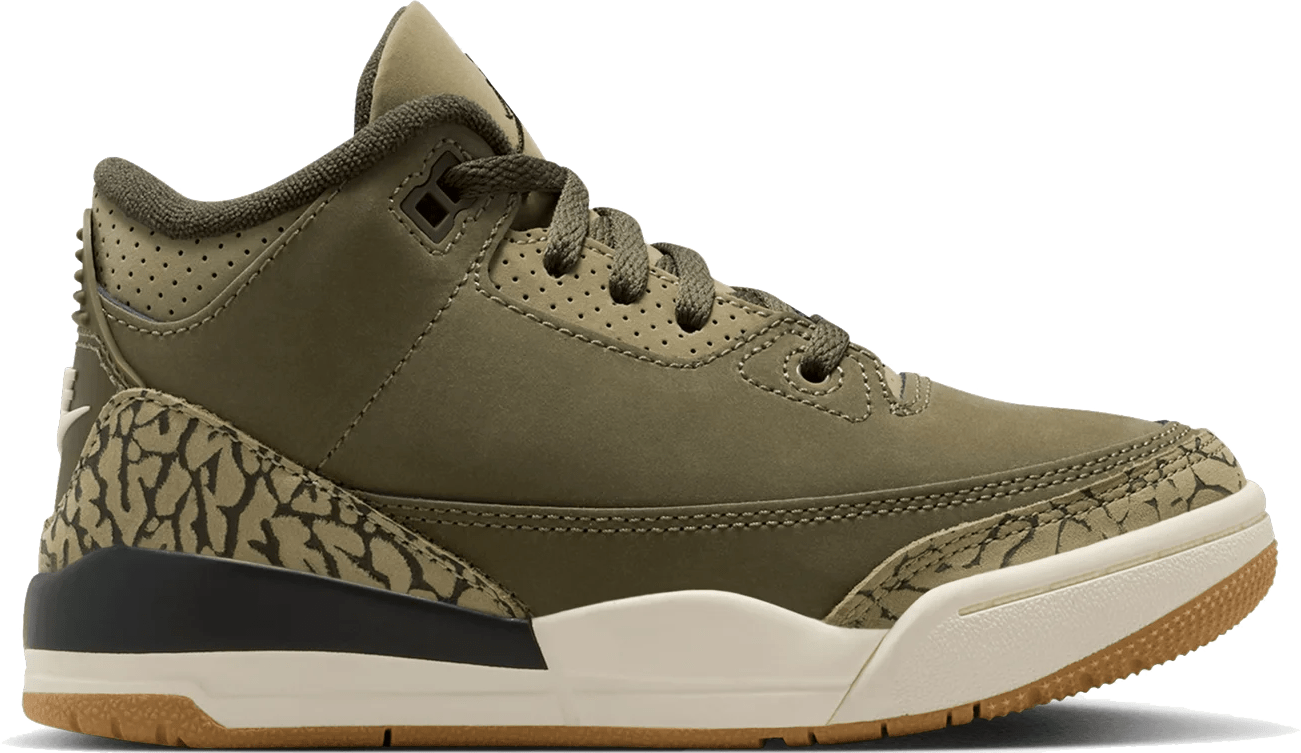 Air Jordan 3 Retro PS "Family Affair"