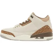 Air Jordan 3 Retro GS "Palomino"