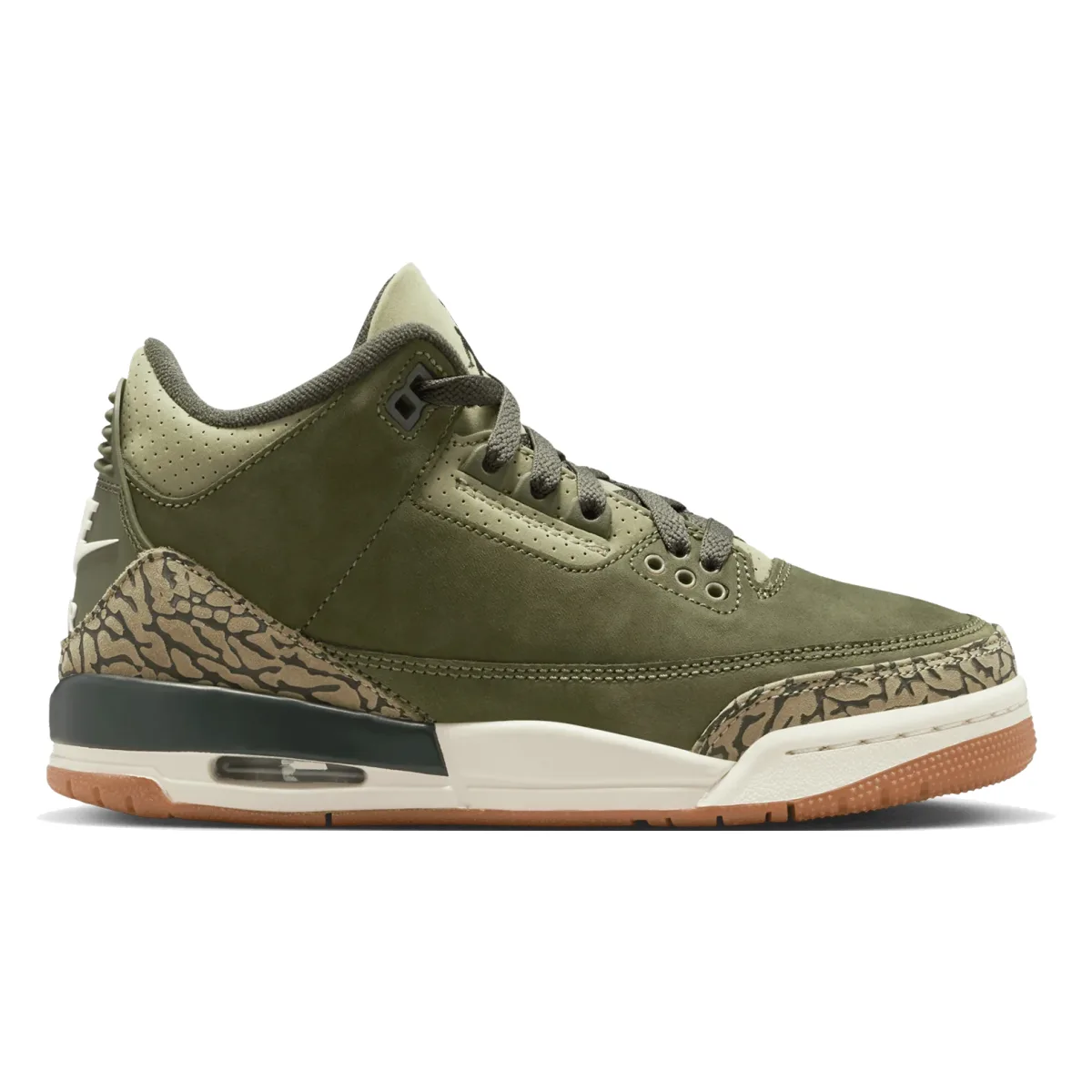 Air Jordan 3 Retro GS "Family Affair"