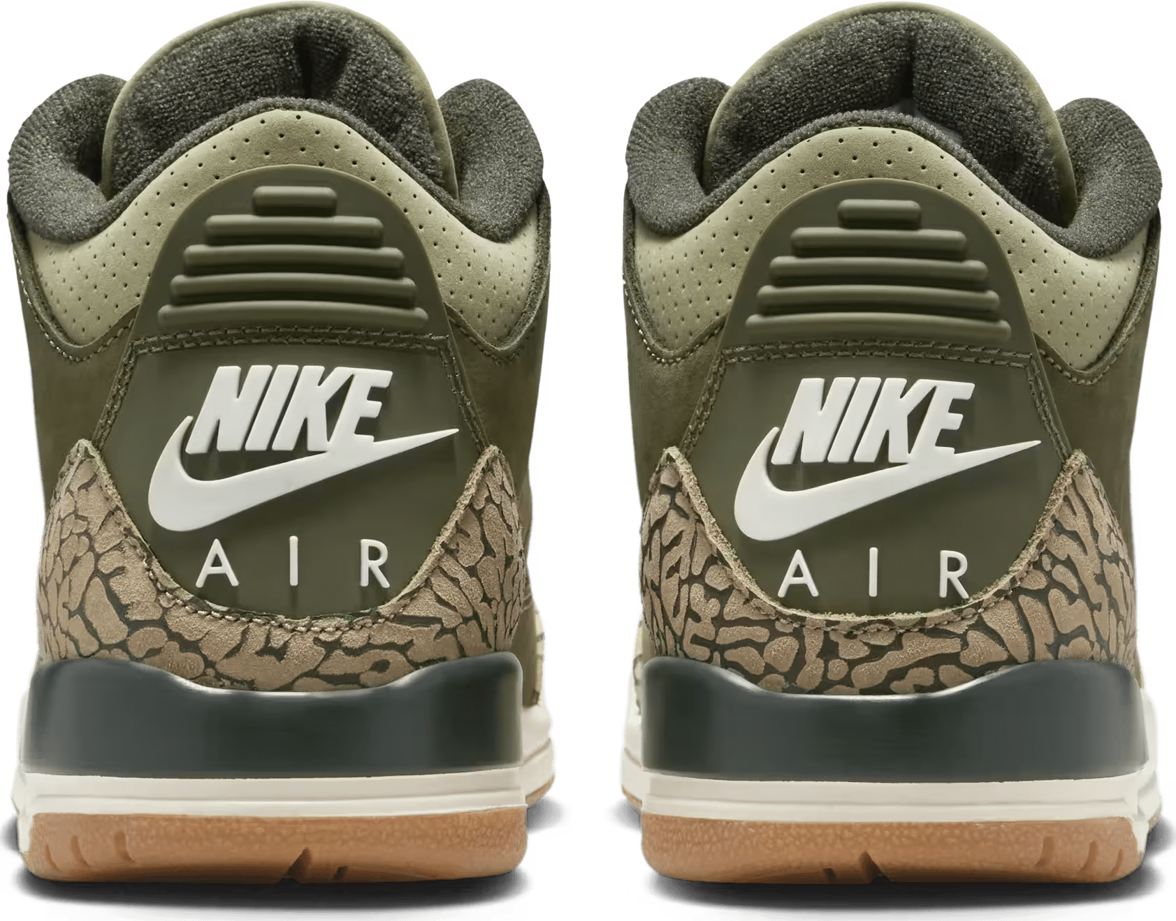 Air Jordan 3 Retro GS "Family Affair"
