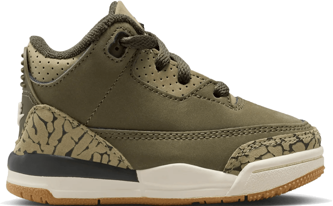 Air Jordan 3 Retro TD "Family Affair"