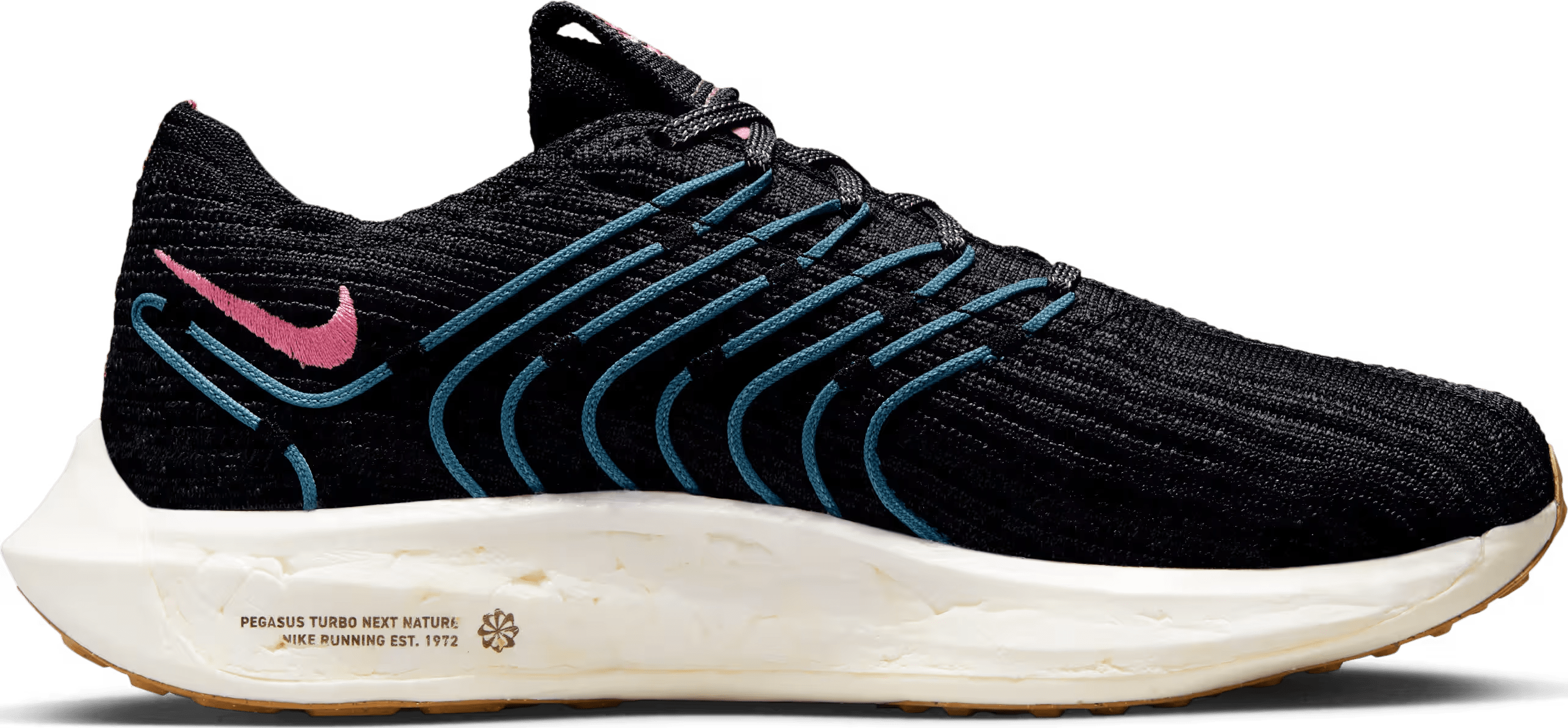 Nike Pegasus Turbo Next Nature Black Noise Aqua (Women's)