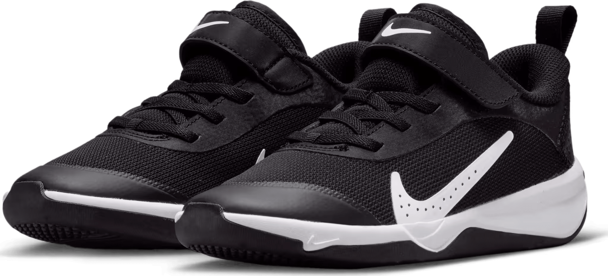 Nike Omni Multi-Court