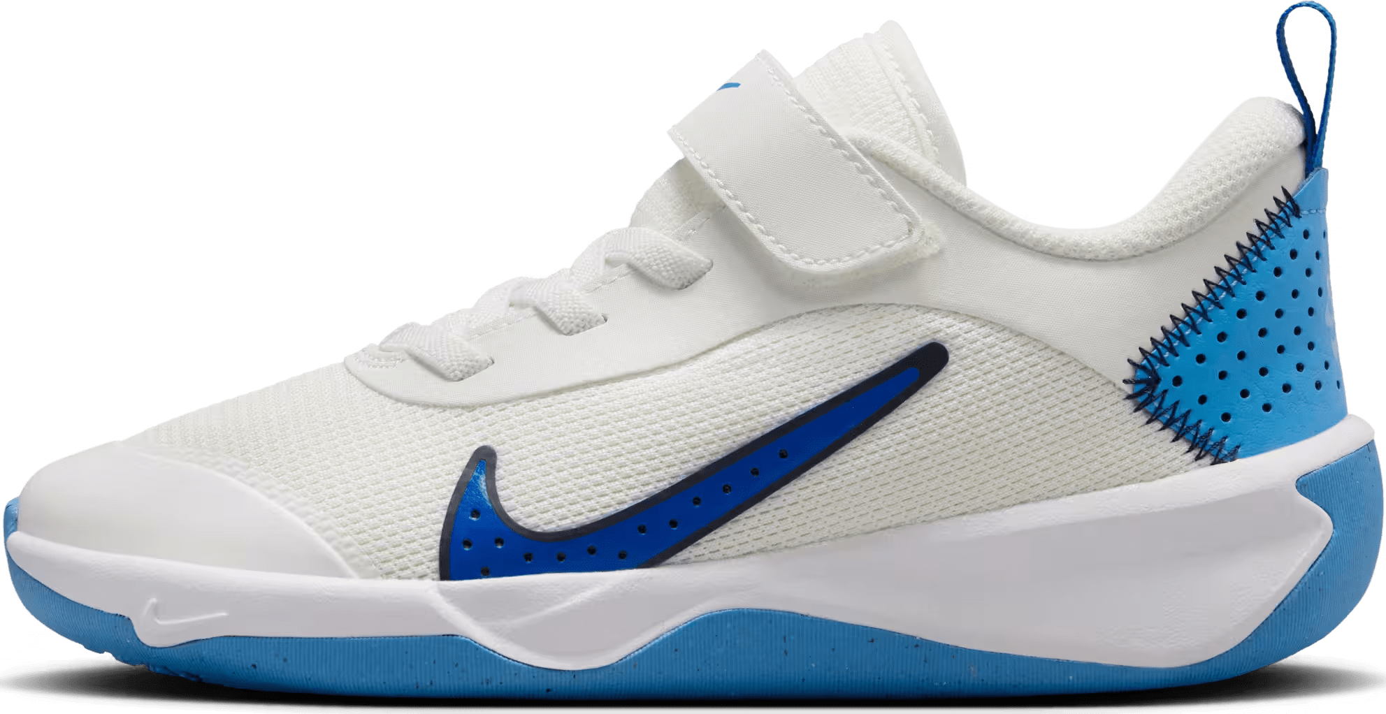 Nike Omni Multi-Court