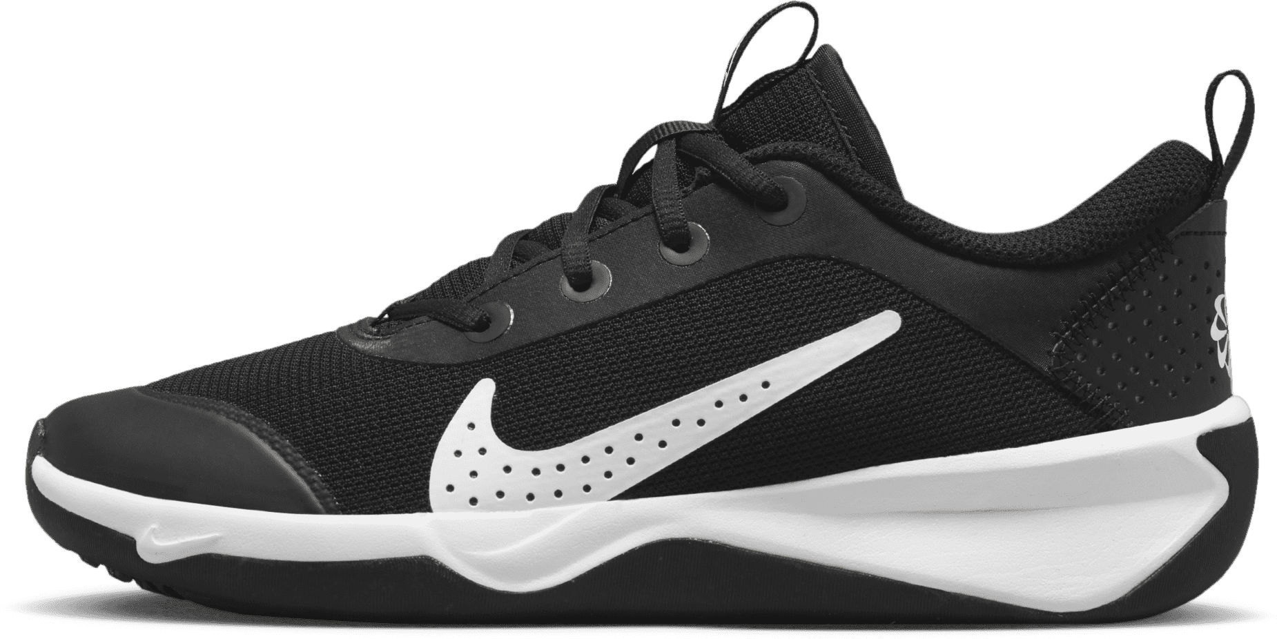 Nike Omni Multi-Court