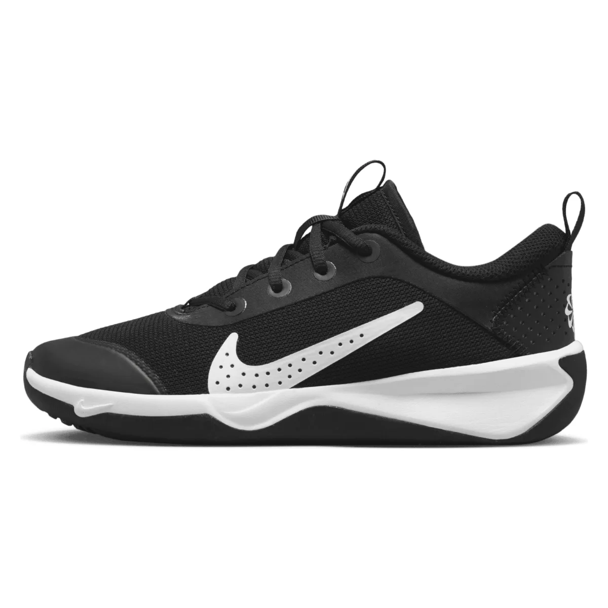 Nike Omni Multi-Court