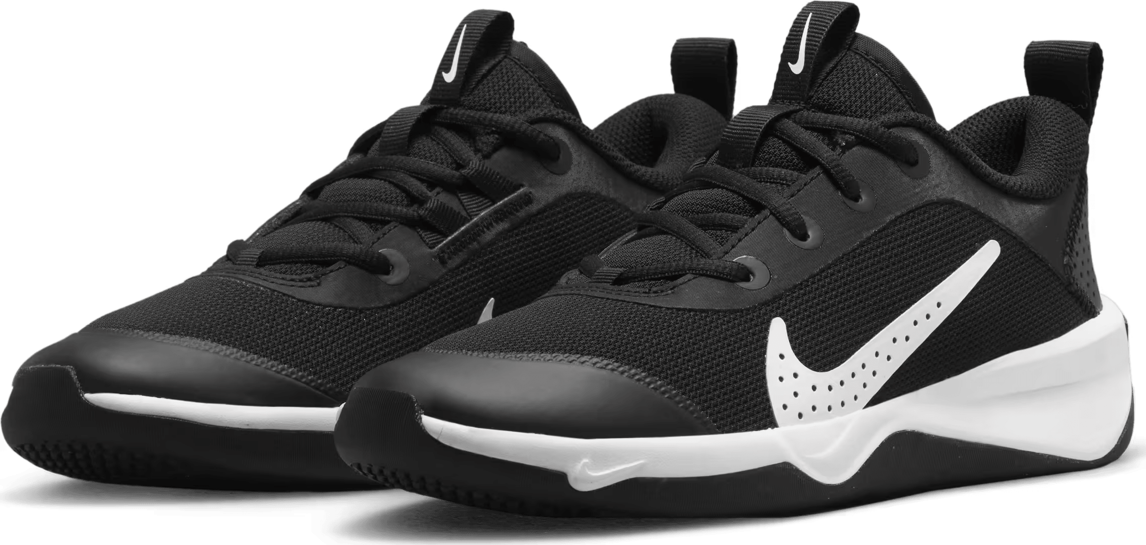 Nike Omni Multi-Court