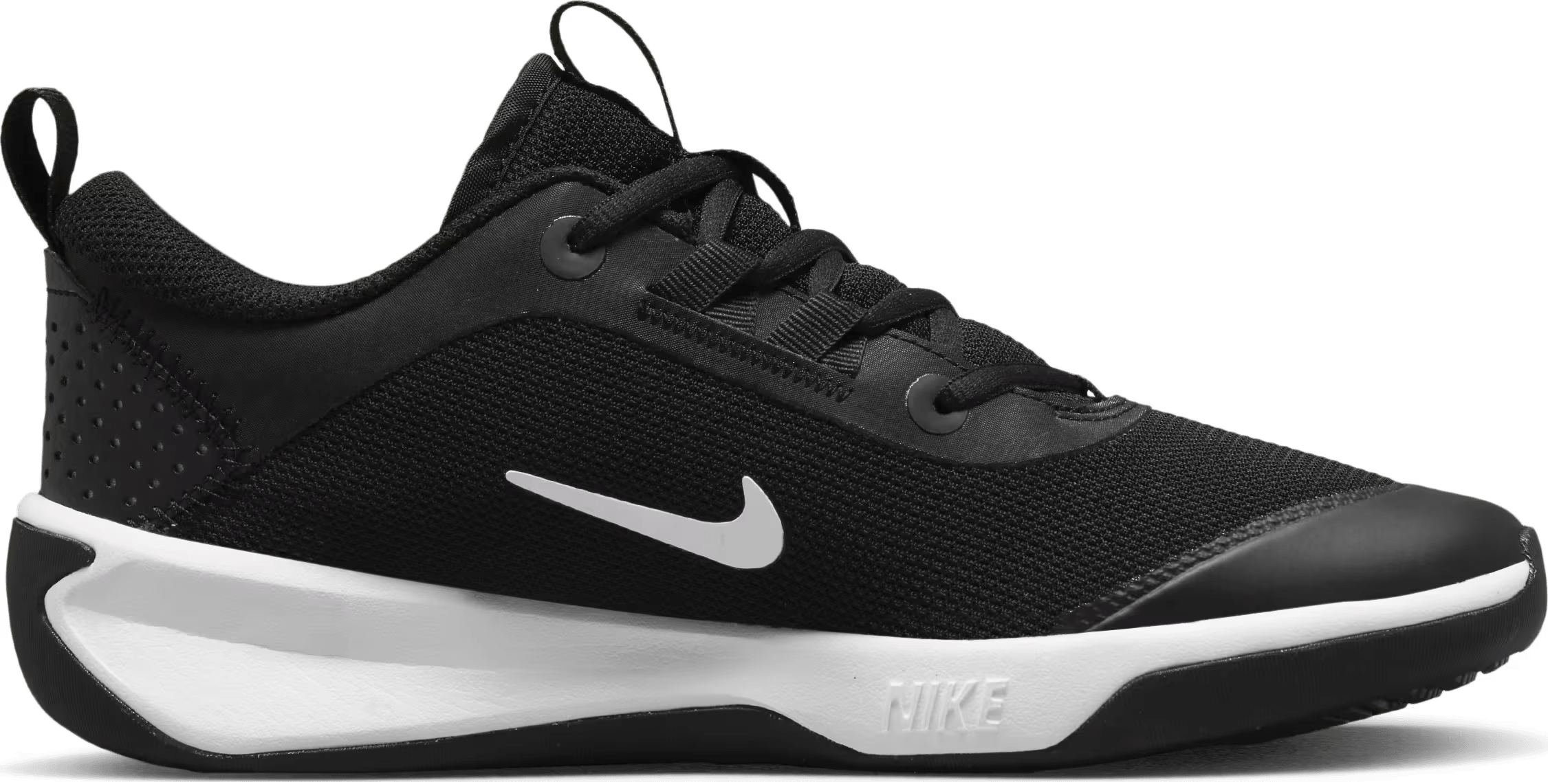 Nike Omni Multi-Court