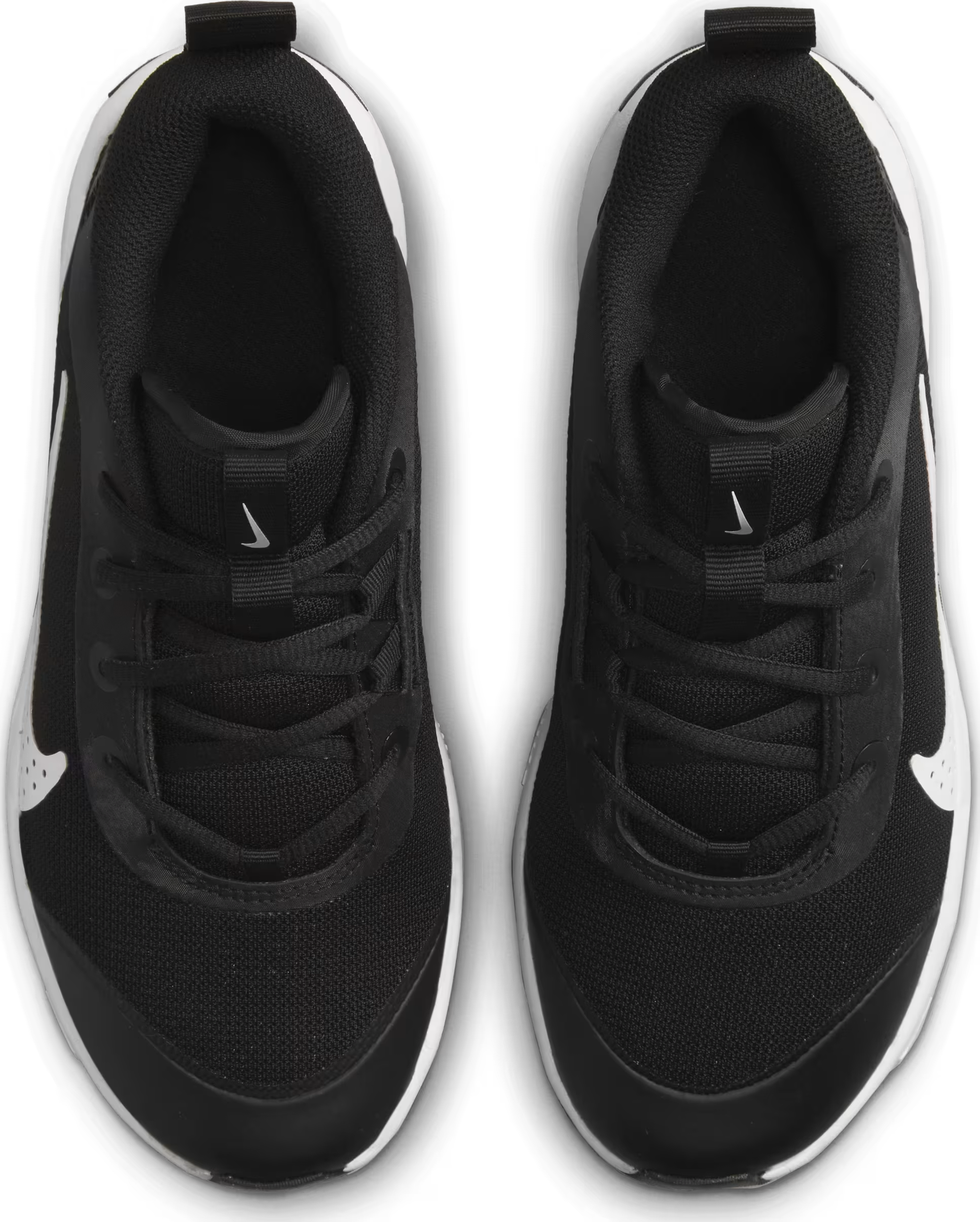 Nike Omni Multi-Court
