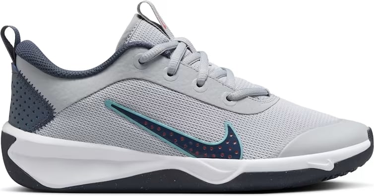 Nike Omni Multi-Court Wolf Grey Bright Crimson Dusty Cactus Thunder Blue (GS)