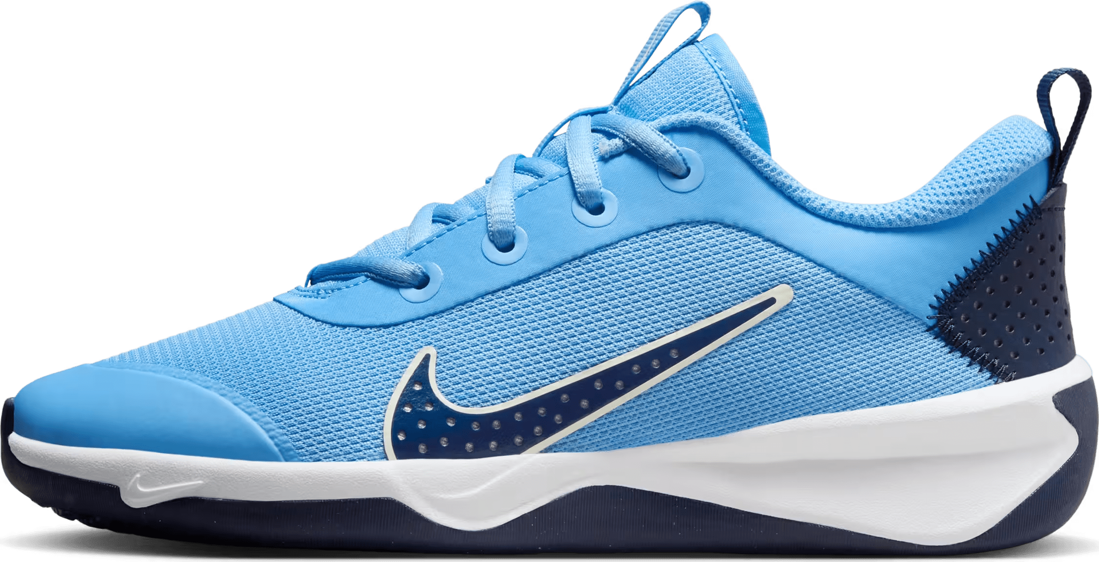 Nike Omni Multi-Court