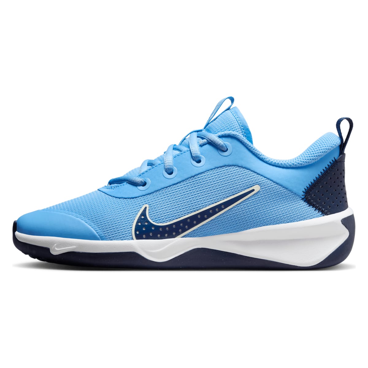 Nike Omni Multi-Court