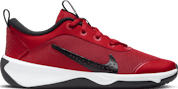 Nike Omni Multi-Court Zaal