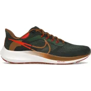 Nike Air Zoom Pegasus 39 A.I.R. Hola Lou