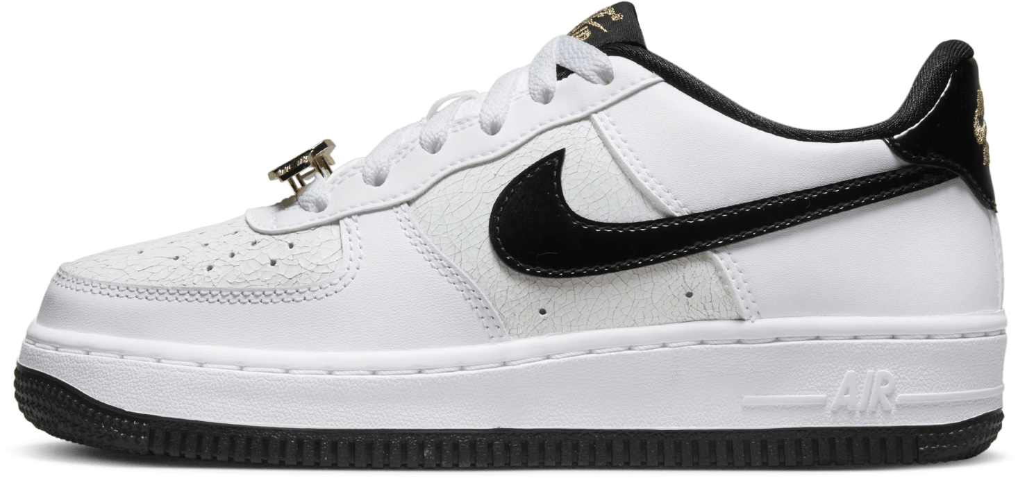 Nike Air Force 1 LV8 GS "World Champion"