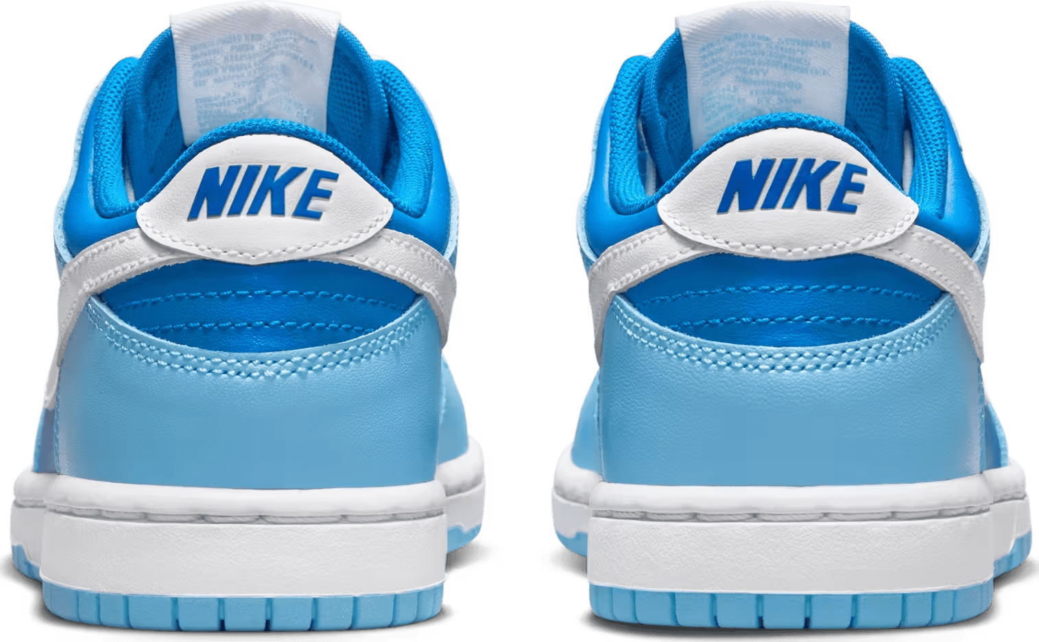 Nike Dunk Low Argon (2022) (PS)