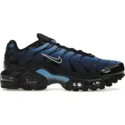 Nike Air Max Plus Black University Blue Chlorophyll Light Bordeaux (GS)