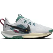 Nike Pegasus Trail 5 Court Blue Cedar (Women's)