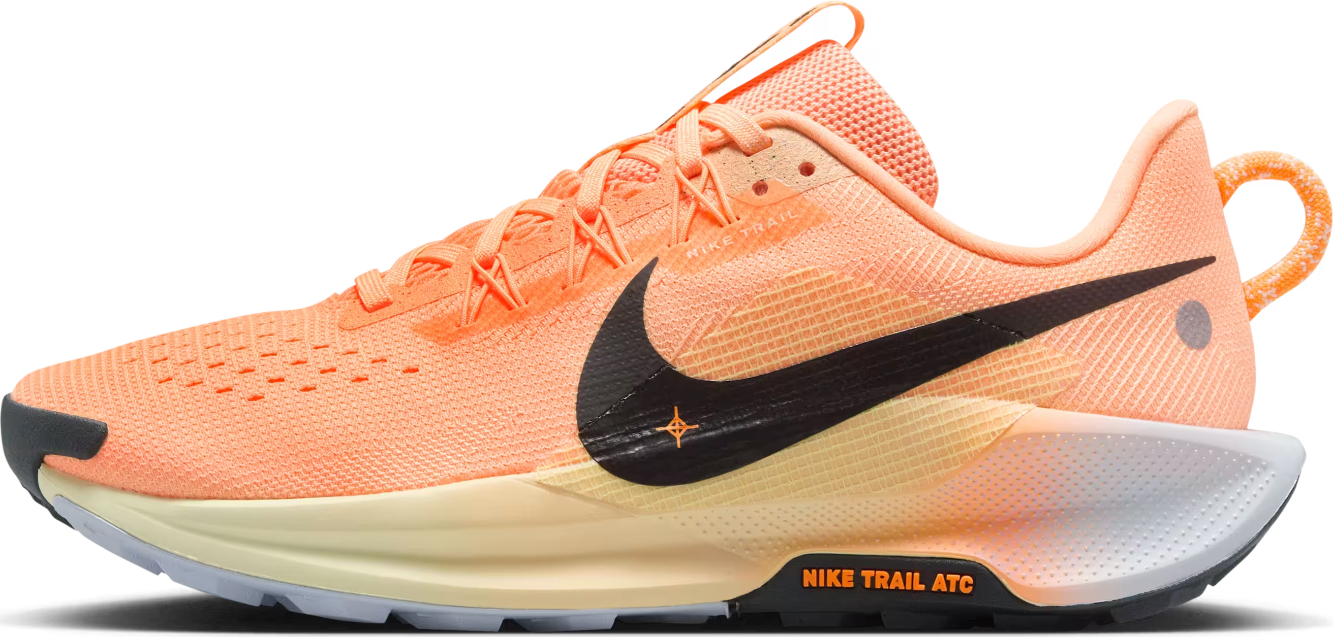 Nike Pegasus Trail 5