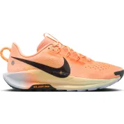 Nike Pegasus Trail 5