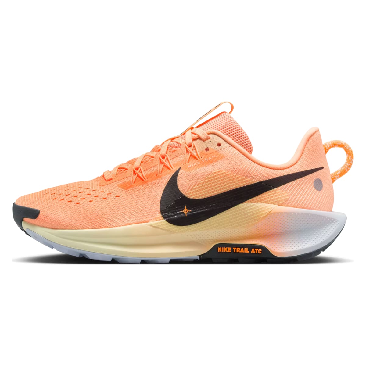 Nike Pegasus Trail 5