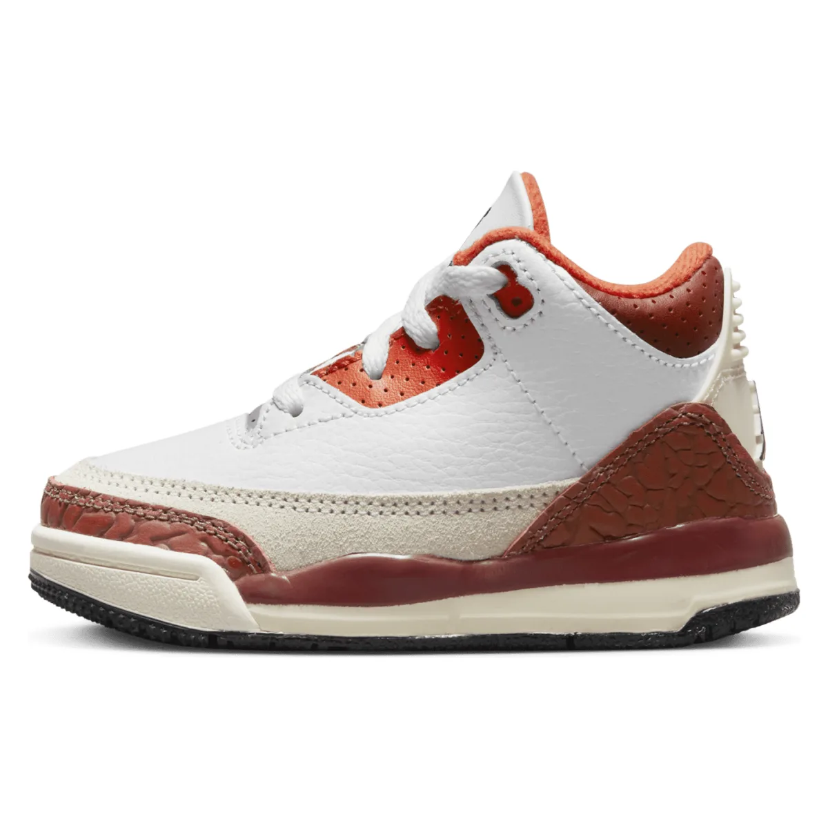 Jordan 3 Retro SE Dunk on Mars (TD)