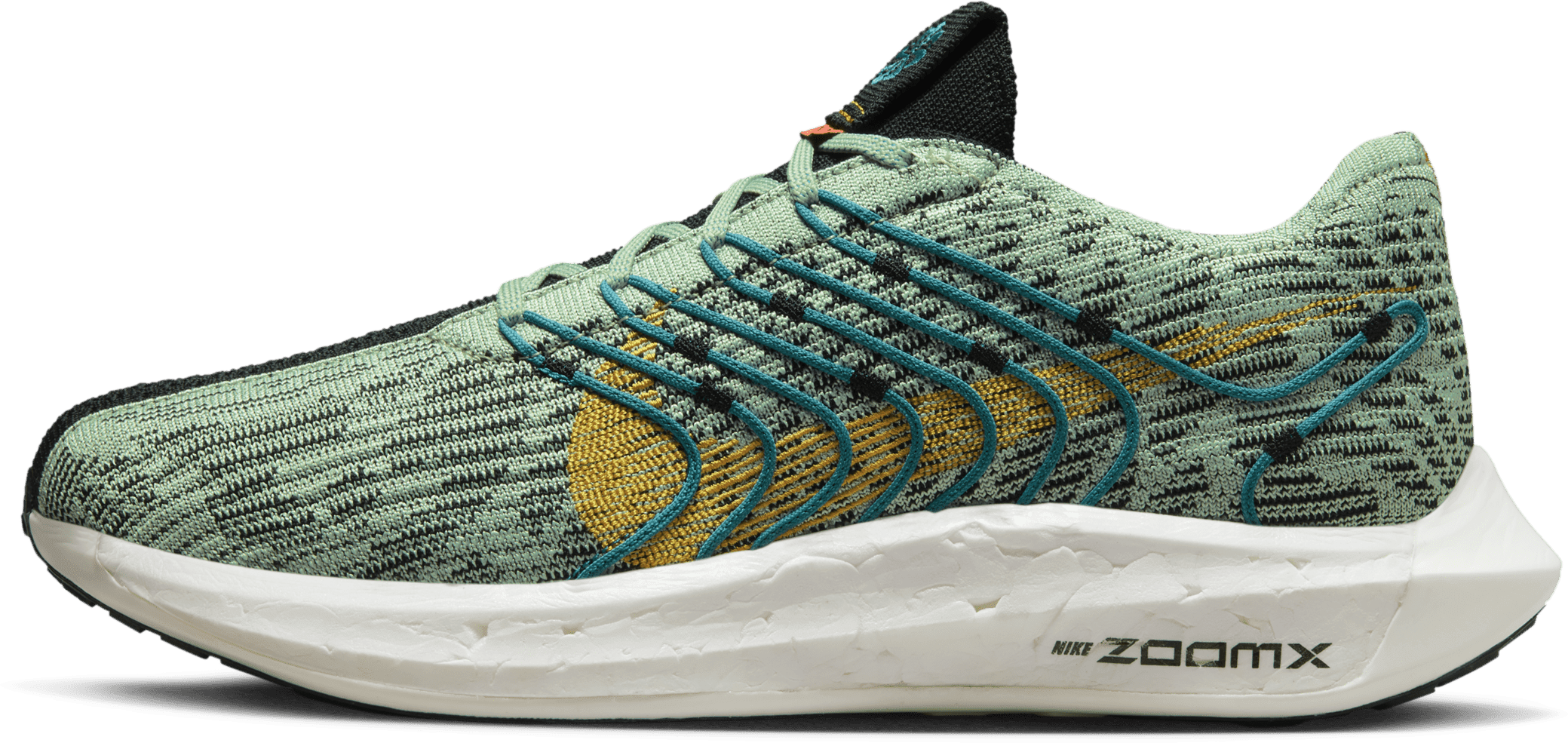 Nike Pegasus Turbo Next Nature 5 Borough Tour