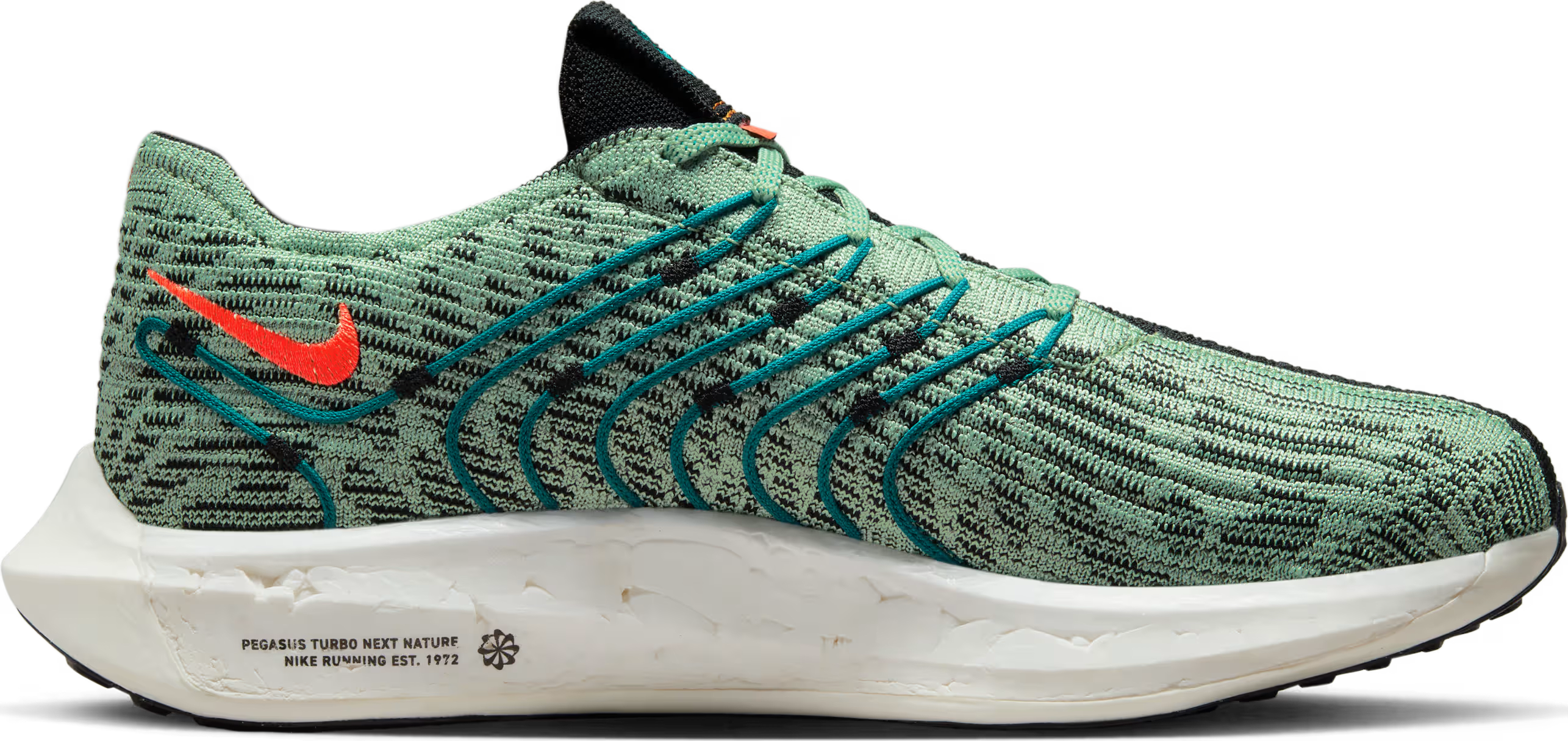 Nike Pegasus Turbo Next Nature 5 Borough Tour