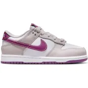 Nike Dunk Low PS "Viotech"