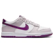 Nike Dunk Low GS "Viotech"
