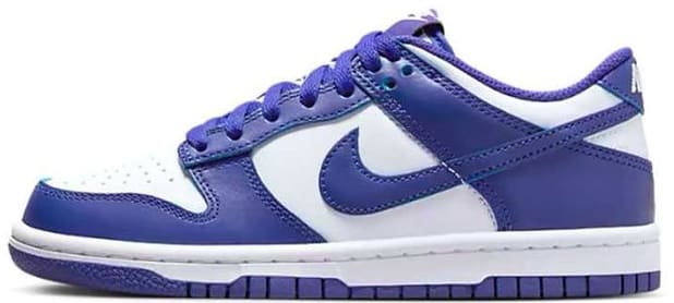 Nike Dunk Low GS "Concord"