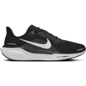Nike Air Zoom Pegasus 41 "Black White"