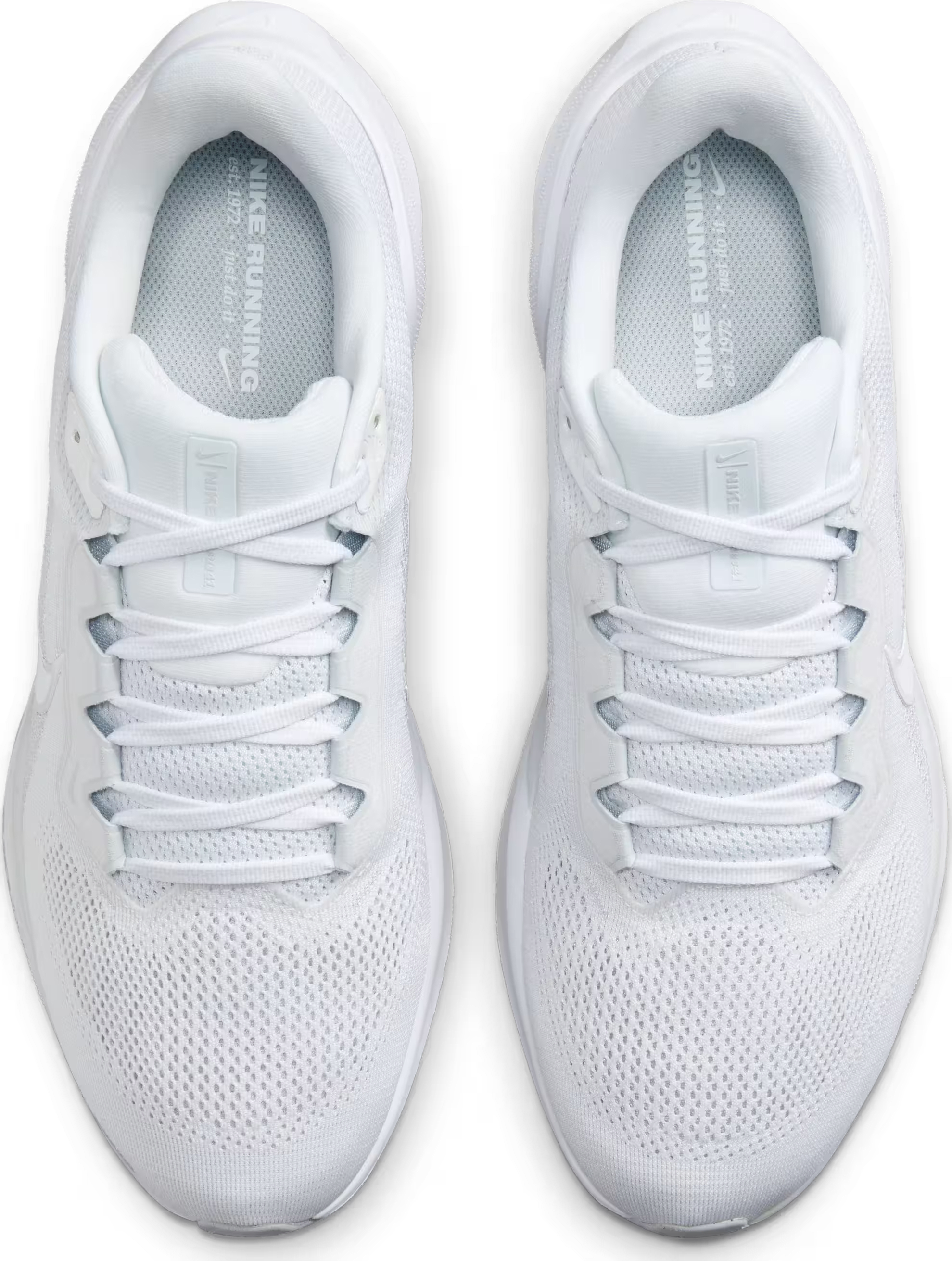 Nike Air Zoom Pegasus 41 Pure Platinum