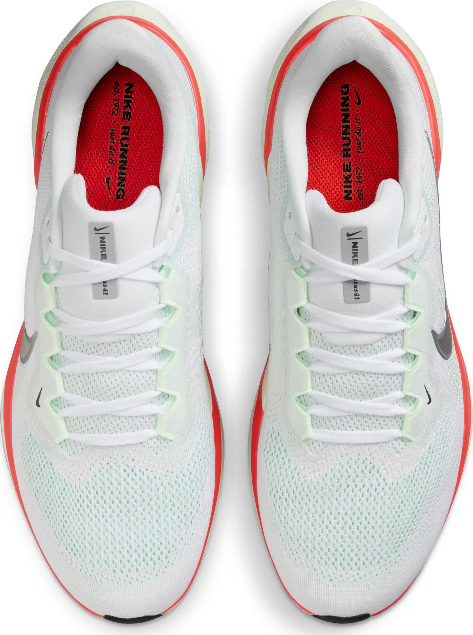 Nike Pegasus 41 "Barely Green"