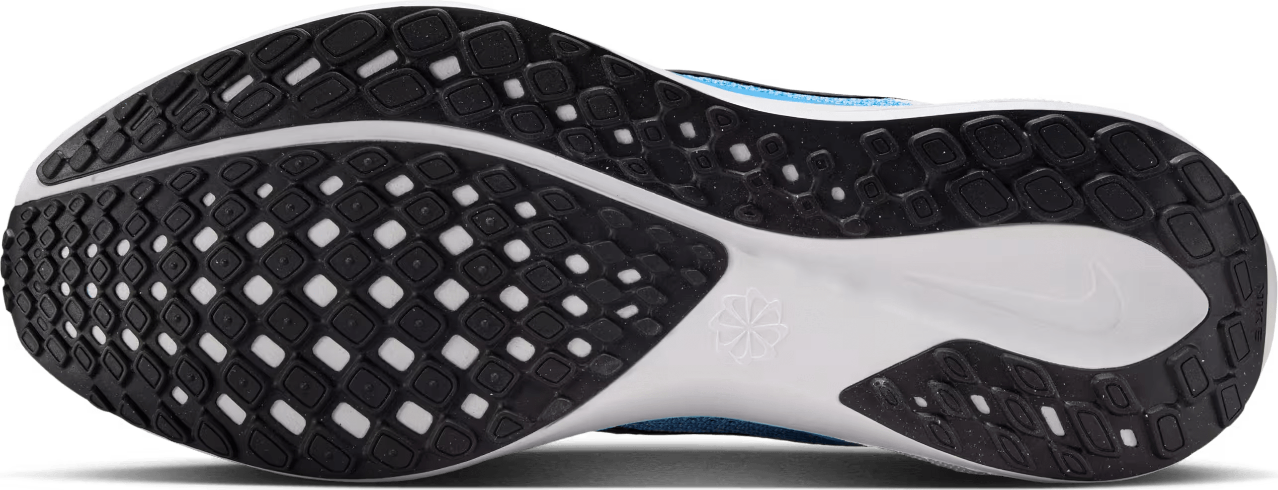 Nike Pegasus 41 "Blue Hero"