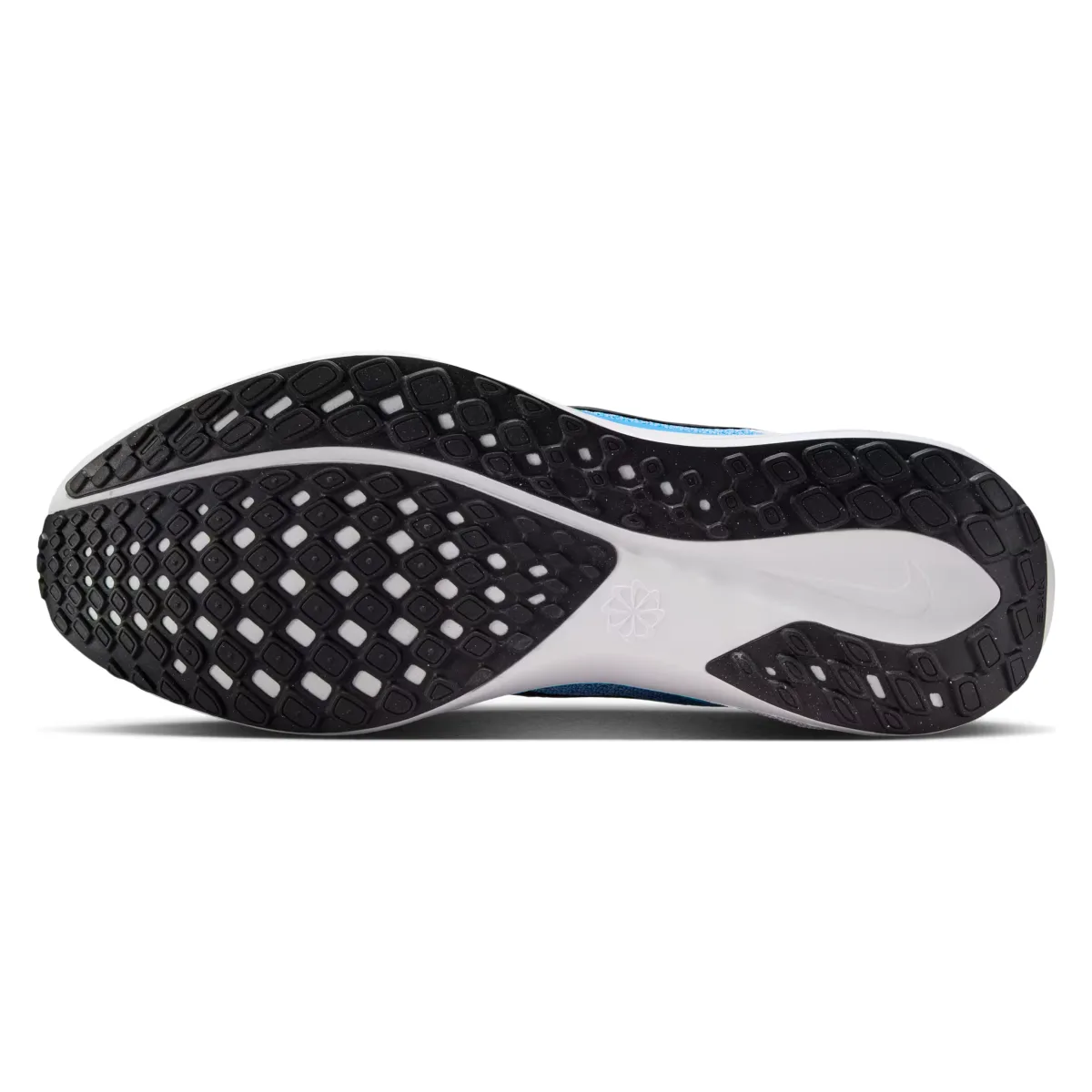 Nike Pegasus 41 "Blue Hero"
