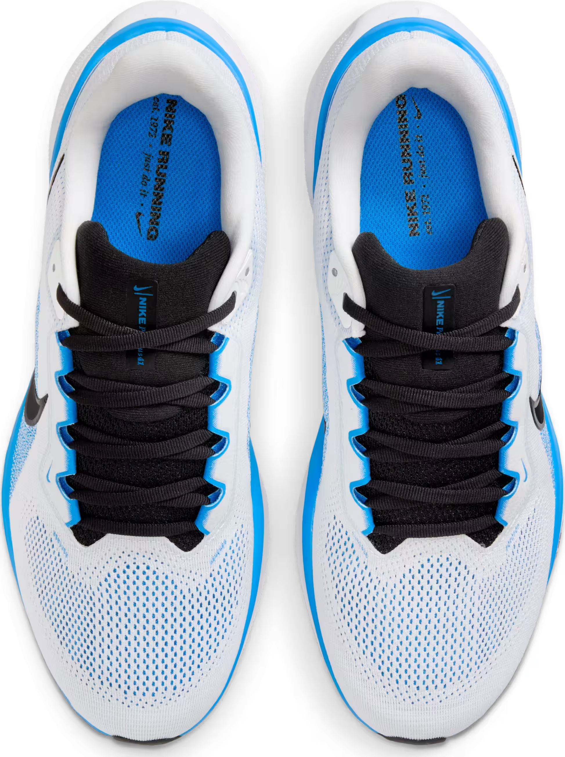 Nike Pegasus 41 "Blue Hero"