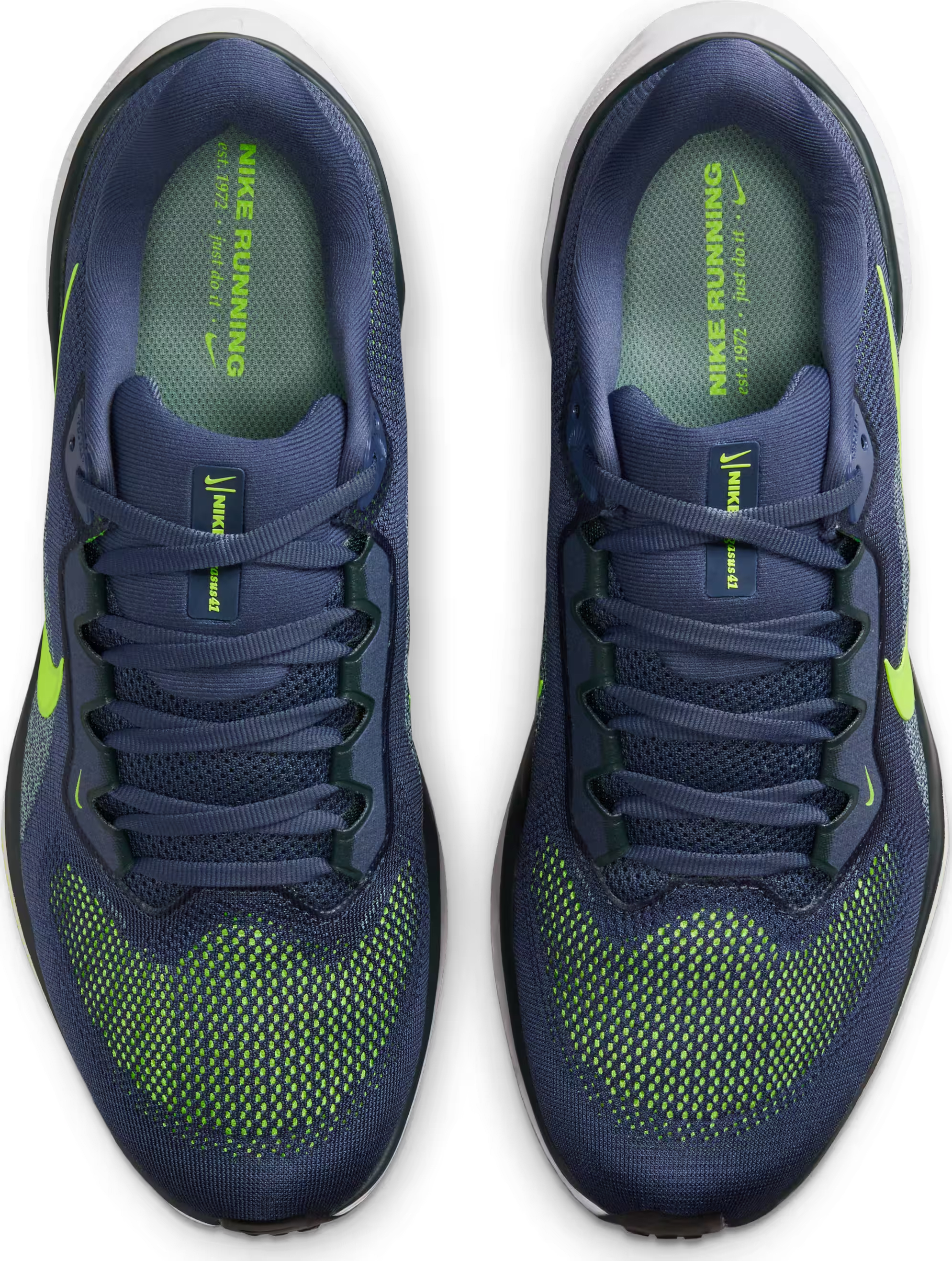 Nike Pegasus 41 "Sanded Purple"