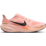 Nike Air Zoom Pegasus 41 "Crimson Tint"