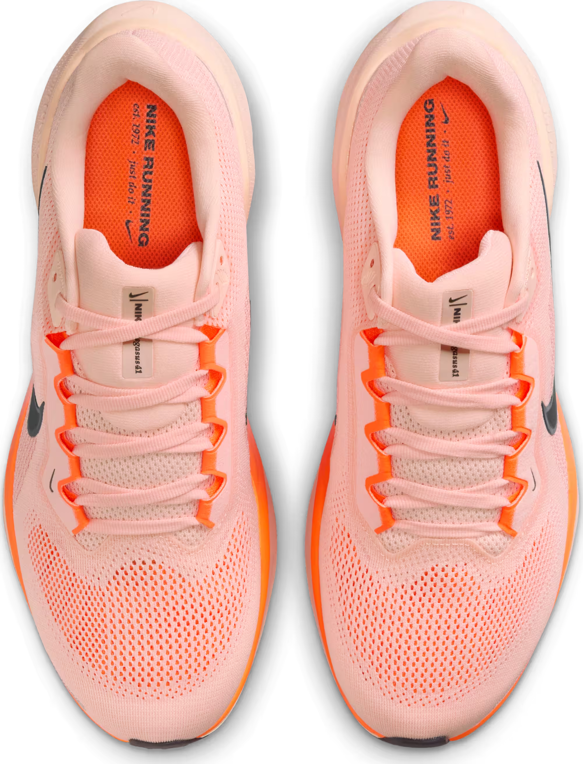 Nike Air Zoom Pegasus 41 "Crimson Tint"