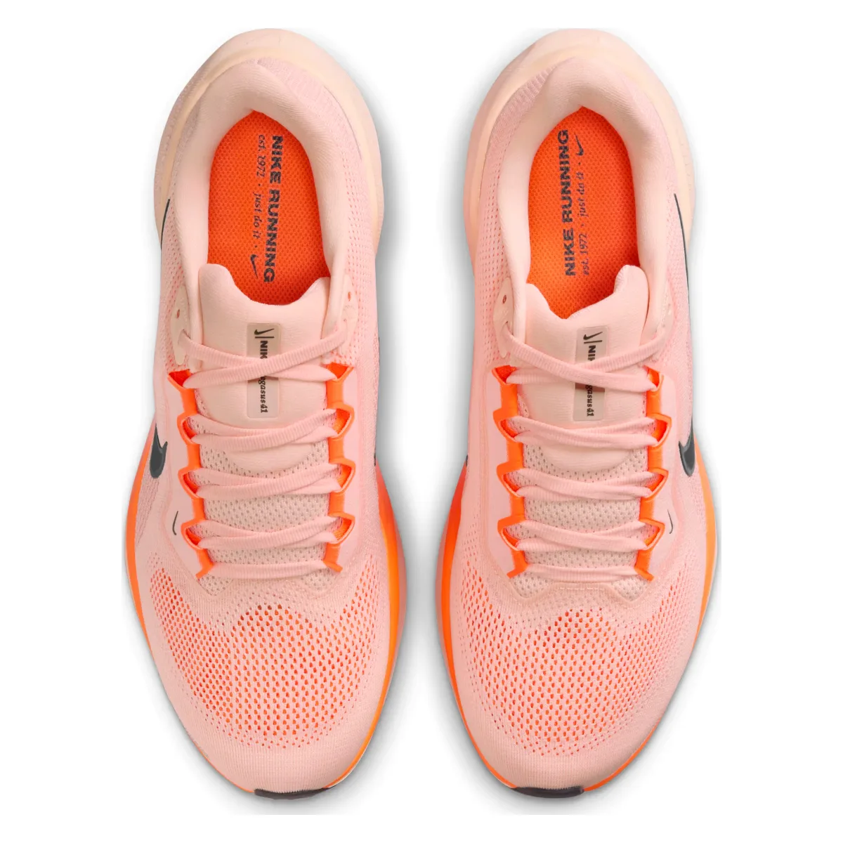 Nike Air Zoom Pegasus 41 "Crimson Tint"