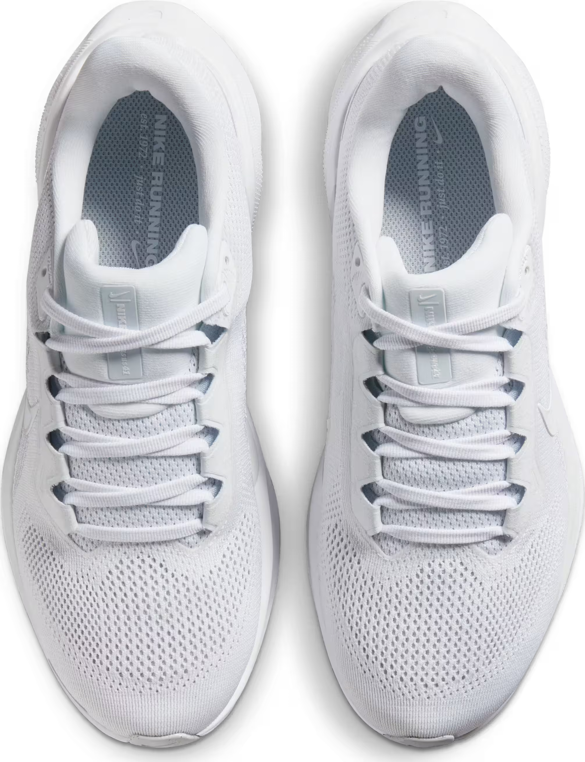 Nike Pegasus 41 Wmns "Pure Platinum"
