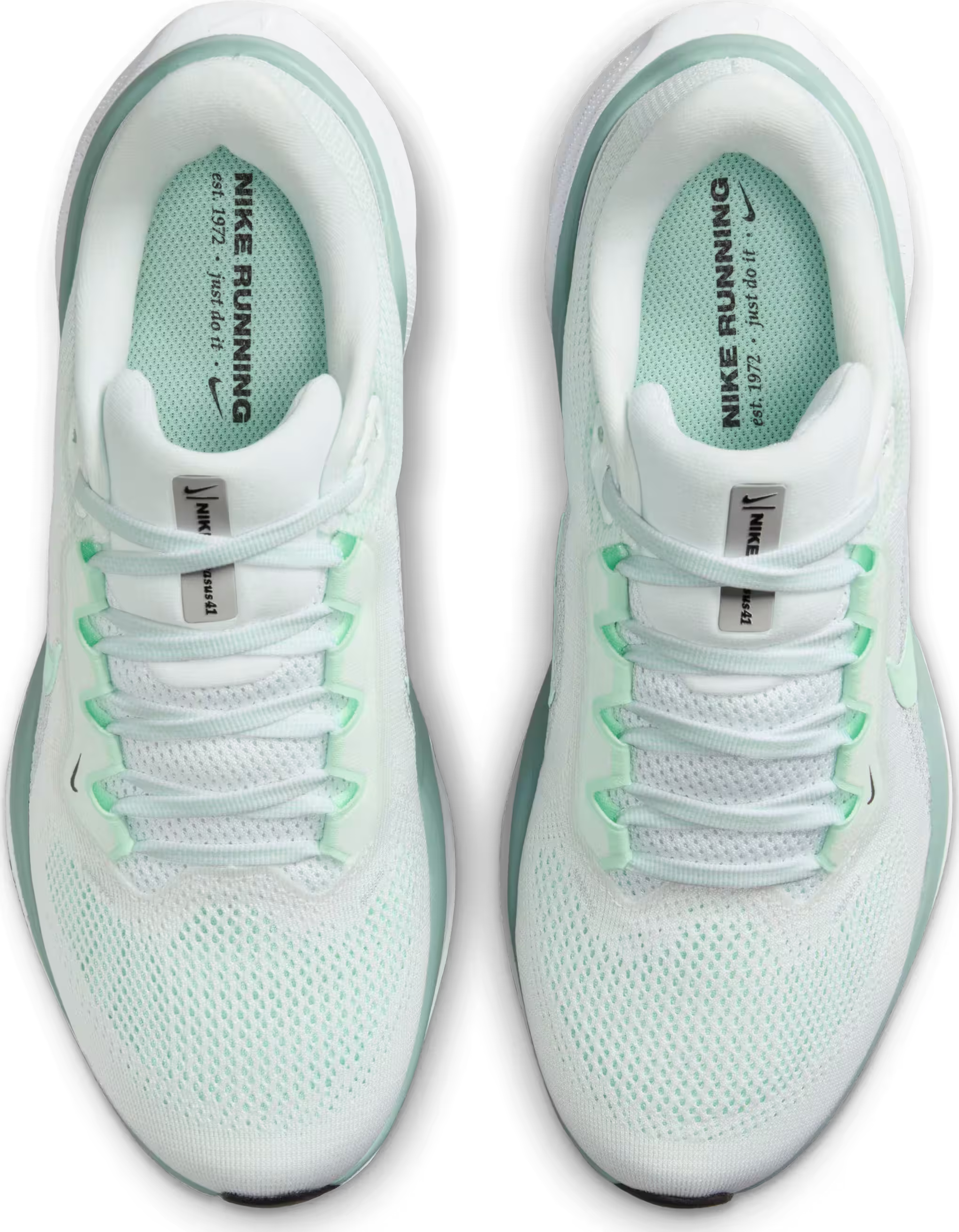 Nike Pegasus 41 Wmns "Mint Foam"